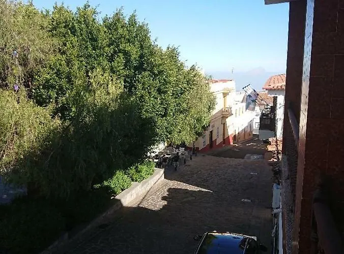 El Jardin De Retamas * Vilaflor